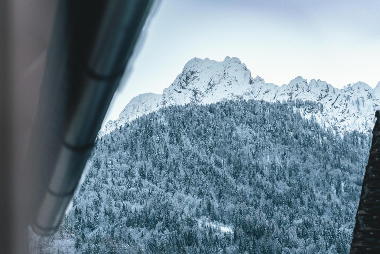 Podlipnik Apartments Kranjska Gora Dış mekan fotoğraf